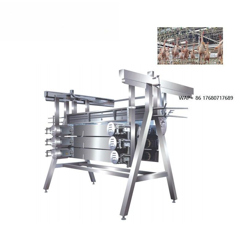 Chicken Plucker Machine - 鶏毛抜き機 屠殺設備 業務用鶏毛抜き機