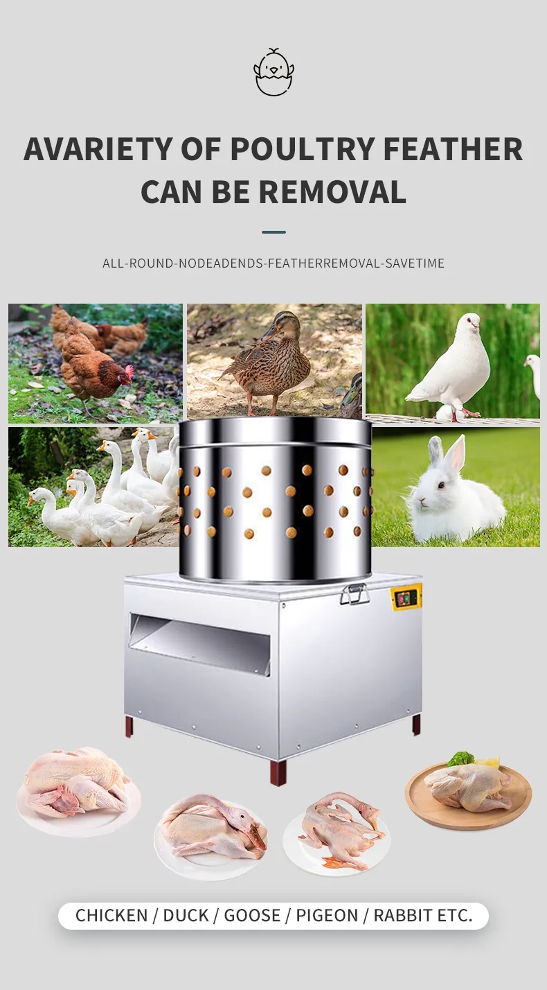 HHD中型SD50鶏毛抜き機フィンガーマシン屠殺装置 - Chicken Plucker Machine のレビューと価格