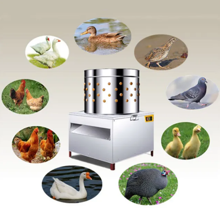 業務用鶏毛除去機、自動鶏毛抜き機、家禽脱羽機販売中 - Chicken Plucker Machine のレビューと価格