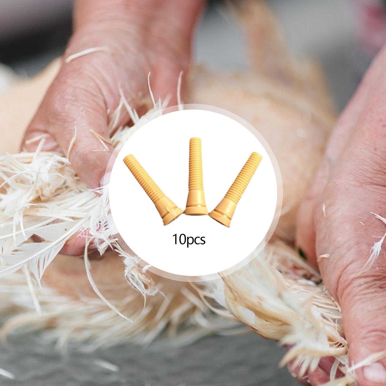 家禽脱羽機部品 ゴム製鶏脱羽フィンガー 毛除去交換部品 家庭 - Chicken Plucker Machine のレビューと価格