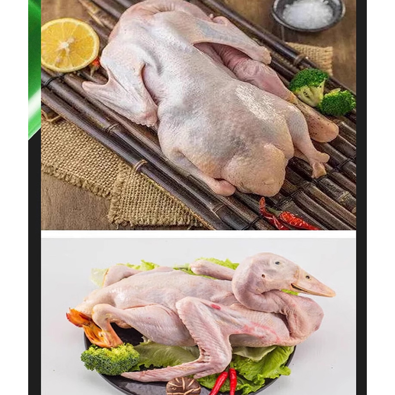 ハンドヘルド羽摘み機自動家禽鶏アヒルガチョウ摘み取りツール鶏 - Chicken Plucker Machine のレビューと価格