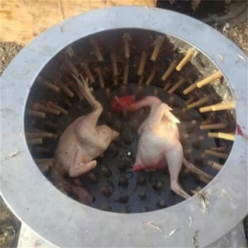 新型ウズラ鳩鳥脱羽機 羽根抜き機 農場家禽脱羽機 鶏鳥脱羽機 - Chicken Plucker Machine のレビューと価格