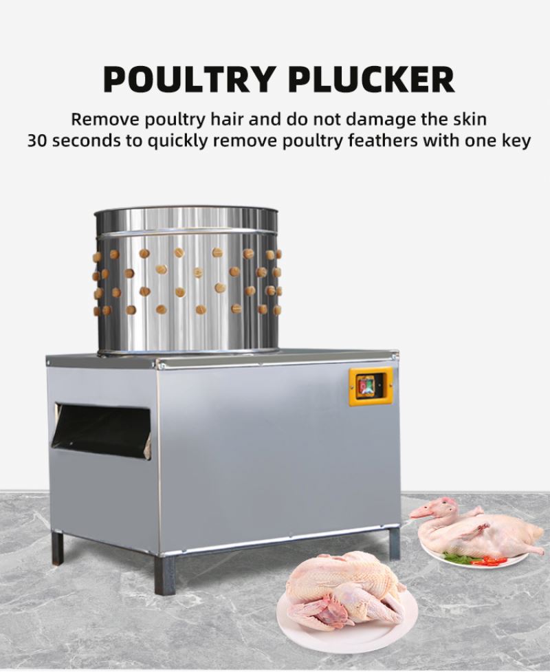 ISO承認済みの鳩・鶏屠殺機、優れた価格の4羽用鶏毛抜き機、 - Chicken Plucker Machine のレビューと価格