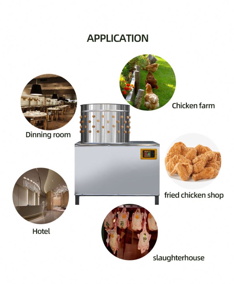 ISO承認済みの鳩・鶏屠殺機、優れた価格の4羽用鶏毛抜き機、 - Chicken Plucker Machine のレビューと価格